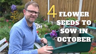 4 Flower Seeds to Sow in October  What to Sow in October  Autumn Seed Sowing  Autumn Sweet Peas [upl. by Tengdin]