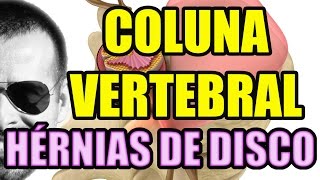 Vídeo Aula 114  Anatomia Humana  Coluna Vertebral Discos Intervertebrais e Hérnia de Disco [upl. by Carena]