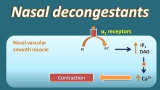 Nasal decongestant  How they act [upl. by Lorena723]