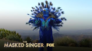 The Clues Peacock  Season 1 Ep 6  THE MASKED SINGER [upl. by Lledniuq]