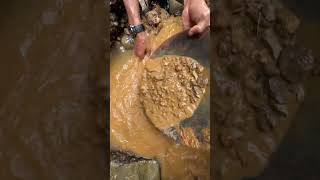 the process of extracting gold under rocks between tree roots [upl. by Rees970]