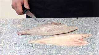 How to Crosscut Fillet a Plaice  412 [upl. by Redvers]