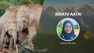 Safeguarding Bornean Elephants  Wildlife Conservation Expo [upl. by Palermo]