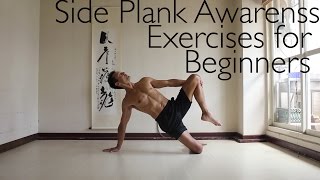 Side Plank Shoulder Stabilization Exercises [upl. by Aubrette]