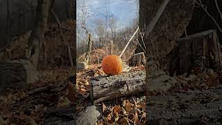 Hornady 300 Blackout 190 gr Sub‑X Subsonic vs Pumpkin Slow Motion 240fps [upl. by Greenstein]