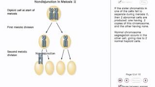 Chromosome Nondisjunction Animation [upl. by Euphemia]