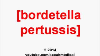 Pronounce Bordetella pertussis  SpeakMedical [upl. by Aihsirt]