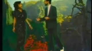 Ethiopian Music Fantish Bekele amp Seyuoum Zewde Fikiren Senjemerew [upl. by Silvain]