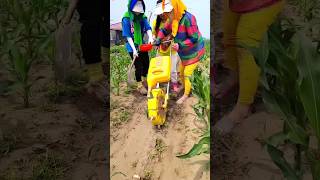 Modern agriculture techniques  practical fertilizing tool for rural farmer farming shorts [upl. by Ainoek]