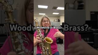 Should it be called a woodwind 🤔 banddirector band woodwind flute brass clarinet trumpet [upl. by Nenad655]