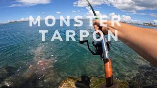 This Giant Tarpon Almost Spooled Me  Tarpon Fishing in Marigot [upl. by Bogey]