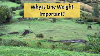 Why is Line Weight Important [upl. by Bertelli]