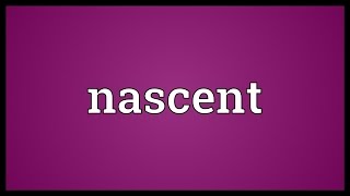 Nascent Meaning [upl. by Neuburger390]