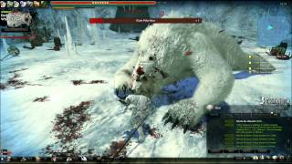 Vindictus Gameplay White Tyrant [upl. by Annasor807]