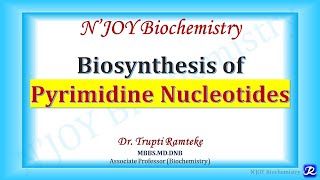 Pyrimidine Biosynthesis  Nucleotide Metabolism  Biochemistry  NJOY Biochemistry [upl. by Hilario]