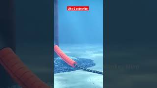 How are cables laid under the sea shrots ship telecom tata factsinhindi [upl. by Delmor]