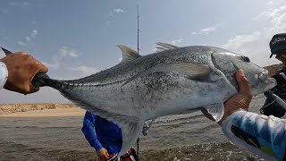 أجمددد يوم صيد من الكسارة، ضربنا ٥ جروم و دوجي🤯Best fishing day of my life from shore GTs and a dog [upl. by Aztirak]