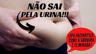 Lipo Enzimática tem Resultado Funciona para Gordura Localizada  Sua Dúvida Vira Vídeo 34 [upl. by Favata]