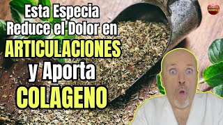 😱 ESTA ESPECIA REDUCE EL DOLOR EN LAS ARTICULACIONES Y APORTA COLAGENO 😱 [upl. by Shayla]