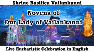 Day 5 of Vailankanni Novena English Mass Live at 715am 3rd Sept 2024  Vailankanni Shrine [upl. by Bendick985]