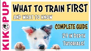 Puppy Training  What to train first [upl. by Gerti]