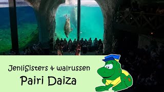 Pairi Daiza Estivales 2023 JenliSisters amp walrussen [upl. by Ignacio121]