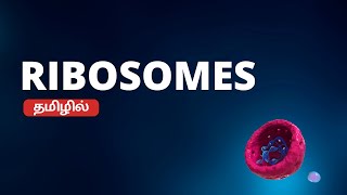 Ribosomes in Tamil [upl. by Roderica360]