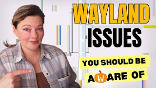 Will These Wayland Problems Still Exist in 2100 wayland linux [upl. by Akienom]