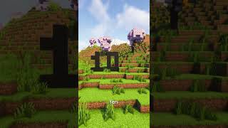 minecraft gaming minecraftsmp minecraftfunny minecraftmemes [upl. by Eninnaj203]