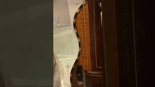 Vielle “Hurdy Gurdy” Instrument Audio The Verve The Morris Museum Morristown [upl. by Nawad]