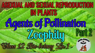 Zoophily Part 2 in tamil  Agents of pollination  Asexual and sexual reproduction in plants [upl. by Shurwood659]