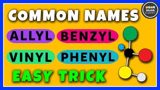 Common Names Allyl Vinyl Benzyl Phenyl  Organic Chemistry [upl. by Dollie]