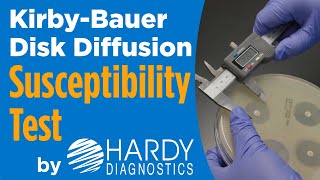 How to do a KirbyBauer Disk Diffusion Antimicrobial Susceptibility Test [upl. by Inalak]