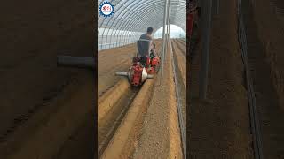 Mini Trenching And Ridging Machine For Planting Strawberry [upl. by Glad957]