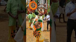 നാദസ്വരം Velmuruka Haro Hara song  nadhaswaram pooram thrissur festival chendamelam shorts [upl. by Malvie]