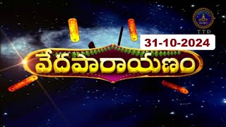 వేదపారాయణం  Vedaparayanam  Tirumala  31102024  SVBC TTD [upl. by Milena]