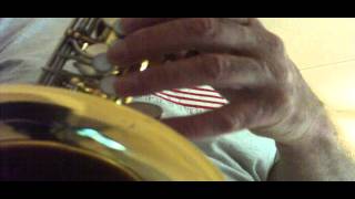 Gordon Lightfoot Sundown Cover W Yamaha YTS23 Tenor Saxophone [upl. by Janaya57]