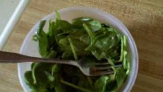 030409 Raw spinach amp a growling stomach [upl. by Ayotak]