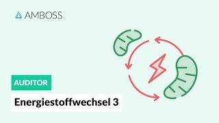 Energiestoffwechsel Teil 3  Wie wird die Glykolyse reguliert  AMBOSS Auditor [upl. by Allehcim]