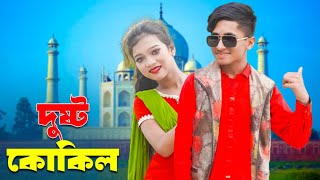 Dushtu Kokil দুষ্টু কোকিল  dihan  pori  rayna  comedy natok [upl. by Iroc]