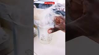 Chemistry practical ConcHCl Reaction Trending shorts Viral Shorts Chemistry logical practical [upl. by Yllim]