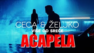 Ceca feat Zeljko Joksimovic Acapela [upl. by Ardis8]