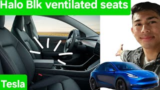 Upgraded Comfort Ventilated Seats in My Tesla Model 3 [upl. by Jacki]