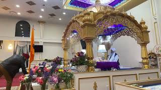 Head Granthi Plainview NY Giani Amarjit Singh Brar is live [upl. by Kcirde]