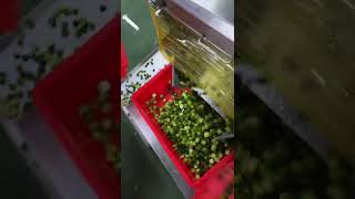 Bway Fast Lime Half Cutting Machine  Your Best Citrus Processing Companion [upl. by Arretak]