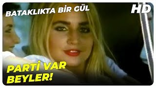 Bataklıkta Bir Gül  Erol Yeni Arabası ile Hava Basıyor  Banu Alkan Türk Filmi [upl. by Attennod]