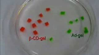 Macroscopic selfassembly supramolecules [upl. by Tomlin648]