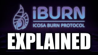 iBURN Protocol Explained [upl. by Truk]