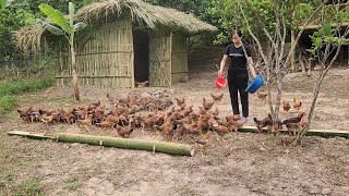 going to pick wild bamboo shoots to sell buy chickens and fence the garden [upl. by Icram]