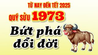 Tử vi từ nay đến Tết 2025  Quý Sửu 1973 được trời độ bứt phá đổi đời [upl. by Elesig471]